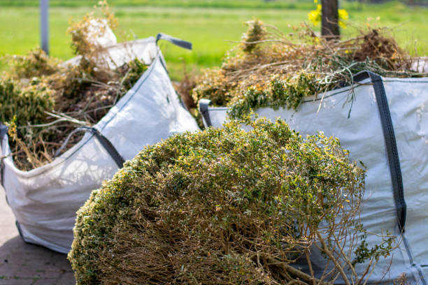 Best Construction Debris Removal  in Lake Clarke Shores, FL